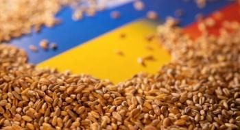 На експорт пішло 11 млн т українського зерна Рис.1