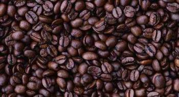 ЄС планує знищити сотні тонн кави та какао через нове законодавство Рис.1