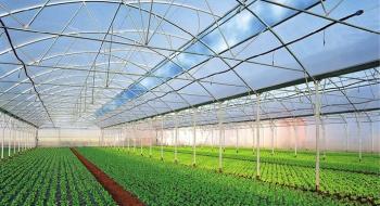 136 господарств отримали цього року 582 млн гривень на розвиток садів і теплиць Рис.1