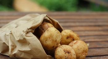 Ціни на картоплю подвоїли попередній рекорд Рис.1