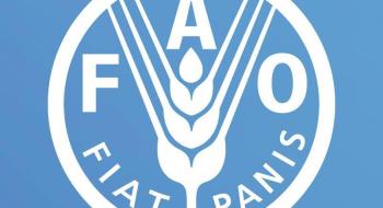 ФАО та ЄС розпочинають другий цикл грантового конкурсу, щоб сприяти відновленню українських фермерів Рис.1