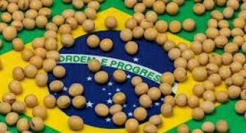 Покращення погоди в Бразилії сприяє завершенню сівби сої Рис.1