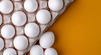 Україна експортувала яєць на $58 млн Рис.1
