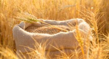 Уряди України та Болгарії узгодили режим ліцензування українського зерна Рис.1