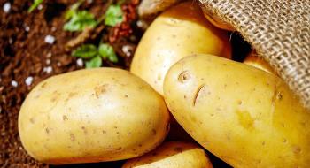 В Україні нові рекорди цін на картоплю Рис.1