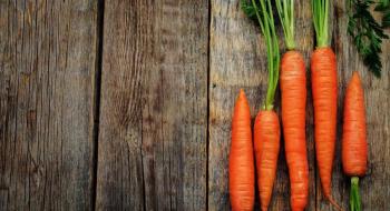 В Україні помітно зросли ціни на моркву Рис.1