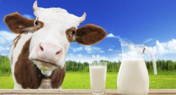 Чи можна заморожувати молоко і як довго воно зберігається Рис.1