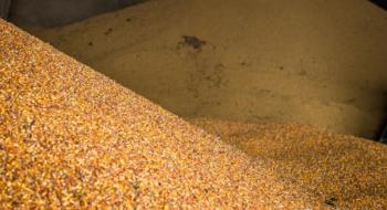 Експорт кукурудзи поточного сезону сягнув 11 млн т Рис.1