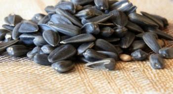 ФАО оголосила тендер на закупівлю насіння сої та соняшника Рис.1