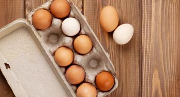 Коричневі vs білі: які яйця найкраще купувати додому Рис.1