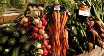 МХП Косюка купує виробника овочів і салатів “Славянка” – АМКУ Рис.1
