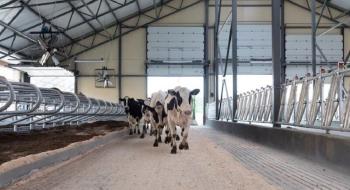 Швейцарія допомагає молочним фермам, що постраждали від війни Рис.1