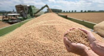 Світові ціни на пшеницю опускаються, але в Україні вони продовжують зростати Рис.1