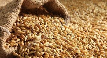 Світові ціни на ячмінь залишаються під тиском значної пропозиції фуражного зерна Рис.1