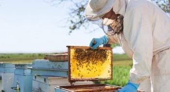 Вінницька громада збільшить бджолярам фінансову підтримку Рис.1