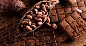 Ціна на какао сягає рекорду, оскільки Ель-Ніньо завдає шкоди врожаю Рис.1