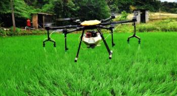 Революція у вирощуванні рису: зростання використання дронів прямого посіву в Індії Рис.1