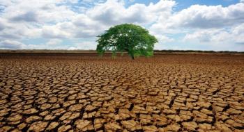 У Каталонії фіксують рекордну посуху: зрошення полів зменшать на 80% Рис.1