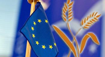 Аналітики Stratégie Grains знизили прогноз виробництва пшениці в ЄС Рис.1