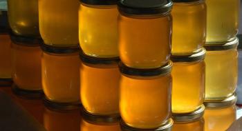 До Польщі не потрапили три тонни меду з України Рис.1
