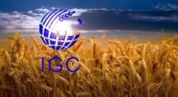 Експерти IGC прогнозують рекордне світове виробництво зерна у 2024/25 МР Рис.1