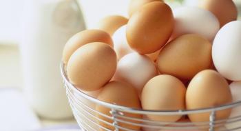 Експорт яєць з України за 2 місяці зріс на 41,4% Рис.1