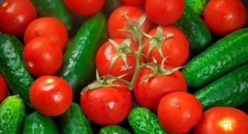 Виробництво тепличних овочів в Україні повертається на довоєнний рівень Рис.1