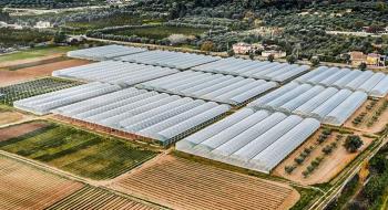 Агрохолдинги масово планують встановлювати теплиці Рис.1
