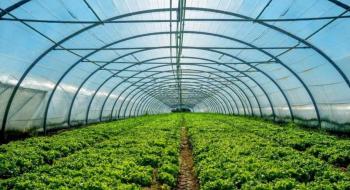Агрохолдинги планують масово встановлювати теплиці Рис.1