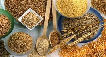 ФАО підвищила прогноз світового виробництва зернових Рис.1