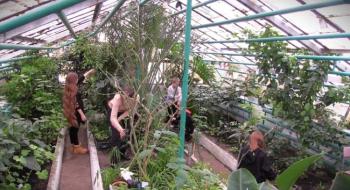 Школярі з Черкаської області вирощують в оранжереї понад 300 видів екзотичних рослин Рис.1