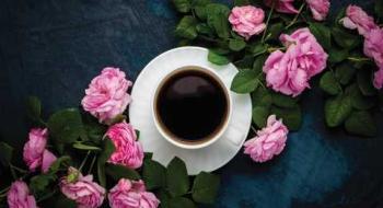 У неймовірному селі на Одещині з’явиться трояндова кав’ярня Рис.1