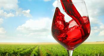 У Німеччині відбудеться перший безалкогольний винний фестиваль Рис.1