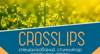 Українська компанія створила спеціалізований стимулятор росту для ріпаку CROSSLIPS Рис.1