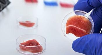 В ЕС вперше дегустували м’ясо із клітин Рис.1