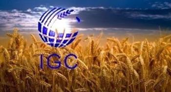 Експерти IGC знизили прогноз світового виробництва зерна у 2024/25 МР Рис.1