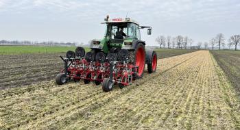 У Нідерландах насіння овочів висівають приклеєним до стрічки Рис.1