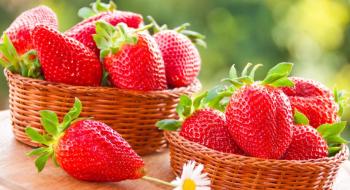 В Україні почався сезон полуниці: по чому ягоди та як обрати якісний товар Рис.1