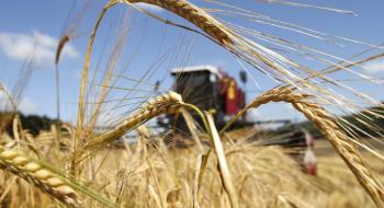 На експорт пішло 47 млн т українського зерна Рис.1
