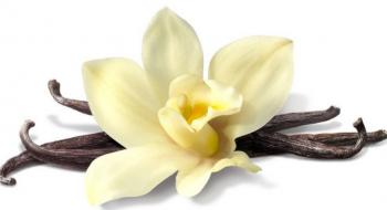 80% ванілі в світі дає один острів Рис.1