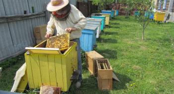 Бджолярі матимуть власний Центр юридичної підтримки Рис.1