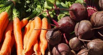 Ціни на буряк та морква б’ють нові рекорди Рис.1