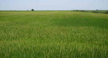 Деградовані ґрунти в Україні займають 15 млн га Рис.1