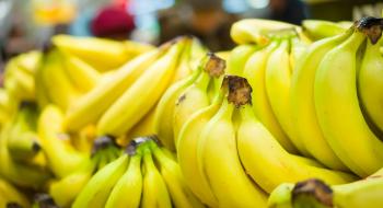 Del Monte почне використовувати систему зберігання свіжих бананів RipeLock Рис.1