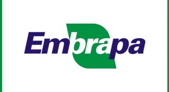 Embrapa інвестує в біологічного агента для боротьби з довгоносиком