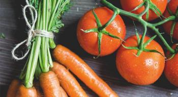 Фермери з Херсонщини очікують хороший урожай моркви та помідорів Рис.1