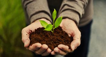 Озвучено основні зміни прийняття нового законопроекту «Про захист рослин» Рис.1