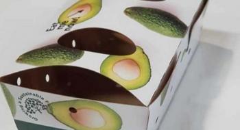 i-Procure представила 100% переробну картонну упаковку для свіжих фруктів Рис.1