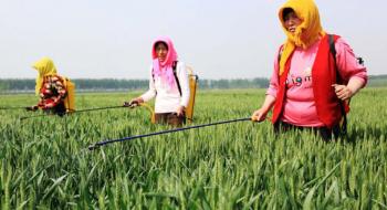 Китай припинить використання високотоксичних пестицидів протягом 5 років Рис.1