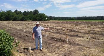 На Черкащині фермер вирощує плантації ківі Рис.1
